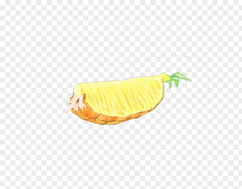 Pineapple Pulp Drawing Cartoon PNG
