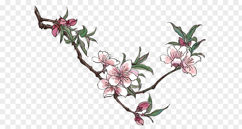 Plum Creative Cartoon Pictures Peach Blossom Drawing Clip Art PNG