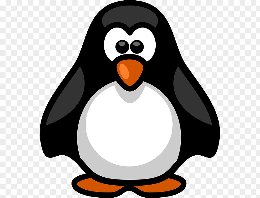 Cartoon Penguin Animal Free Content Blog Clip Art PNG