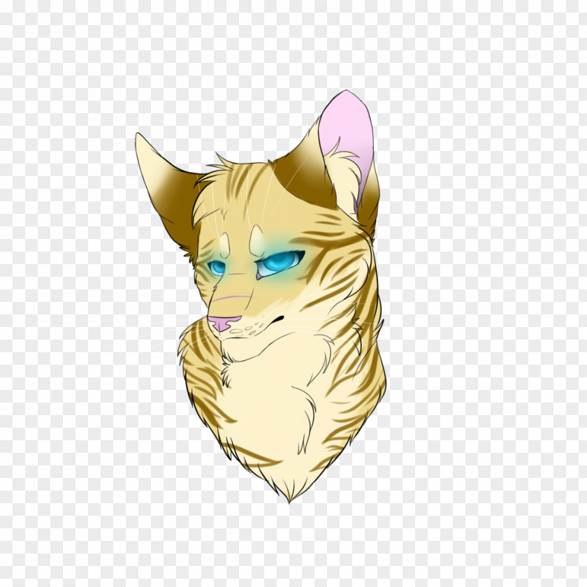 Cat Whiskers Tabby Cartoon PNG