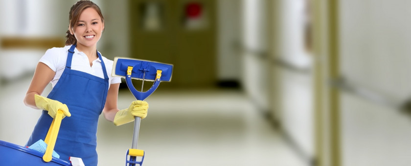 Cleaning Commercial Cleaner Business Maid Service PNG