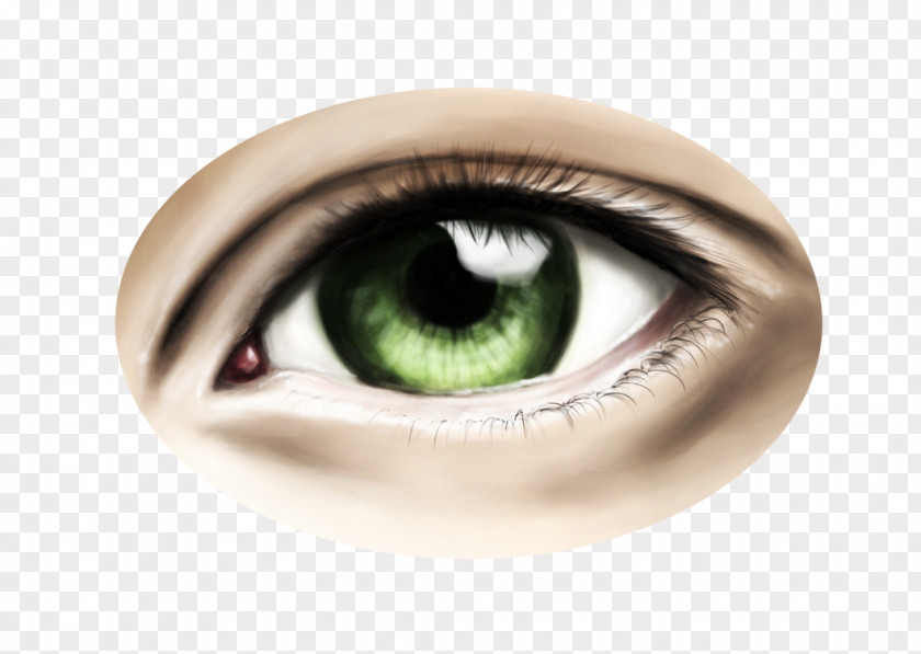 Eye Catchy Close-up PNG