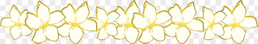 Flower Border Background Floral Line PNG