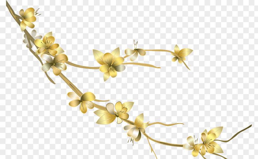 Plant Twig Stem Flowering New Year PNG