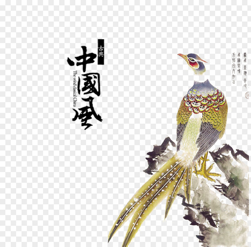 Creative Peacock China Bird Chinoiserie Chinese Painting PNG