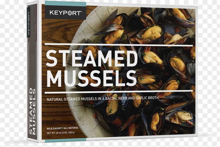 Mussel PNG