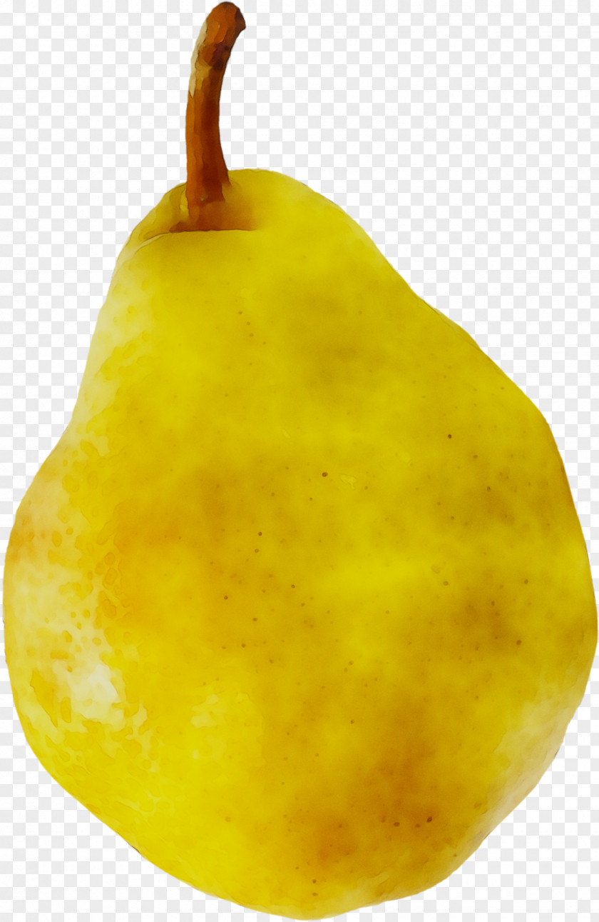 Pear Winter Squash Fahrenheit PNG