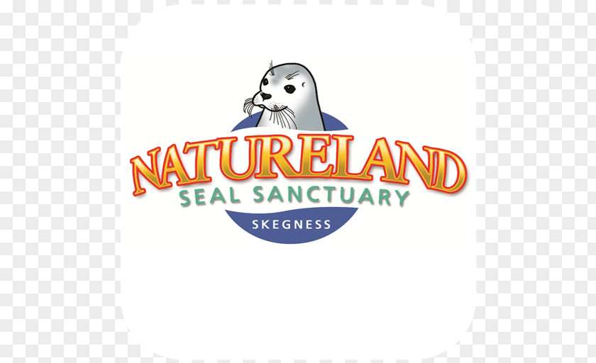 Penguin Natureland Seal Sanctuary Stock Photography Alamy PNG