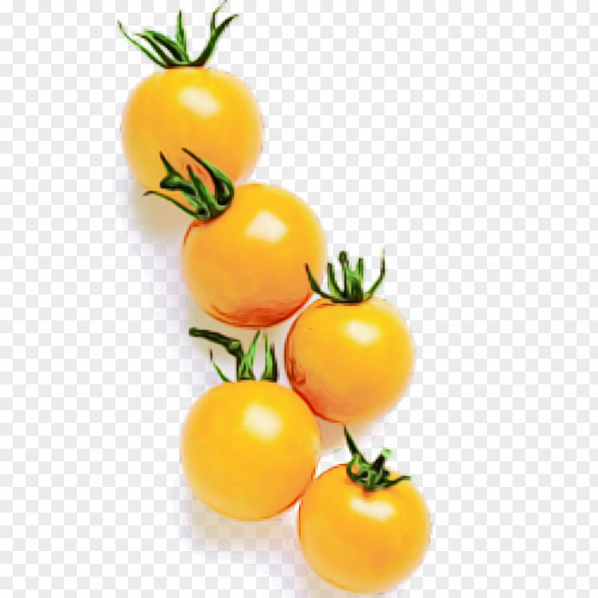 Plant Plum Tomato PNG