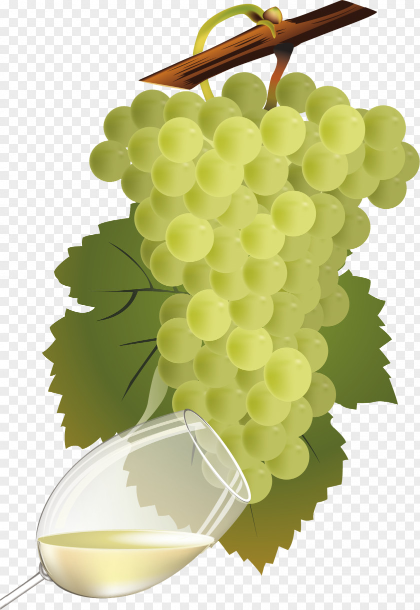 Wine White Chenin Blanc Pinot Sauvignon PNG