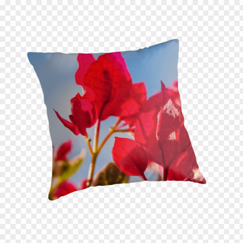 Bougainvillea Throw Pillows Cushion Flower Petal PNG