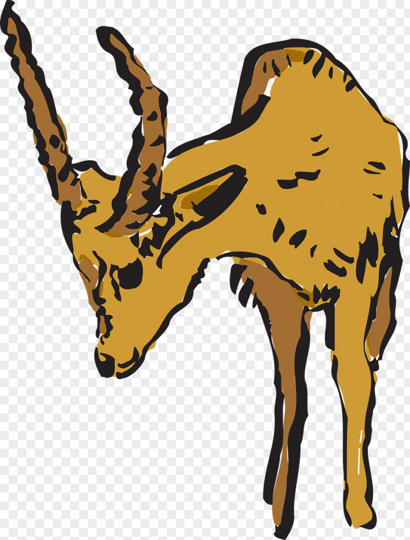 Giraffe Antelope Canyon Pronghorn Clip Art PNG