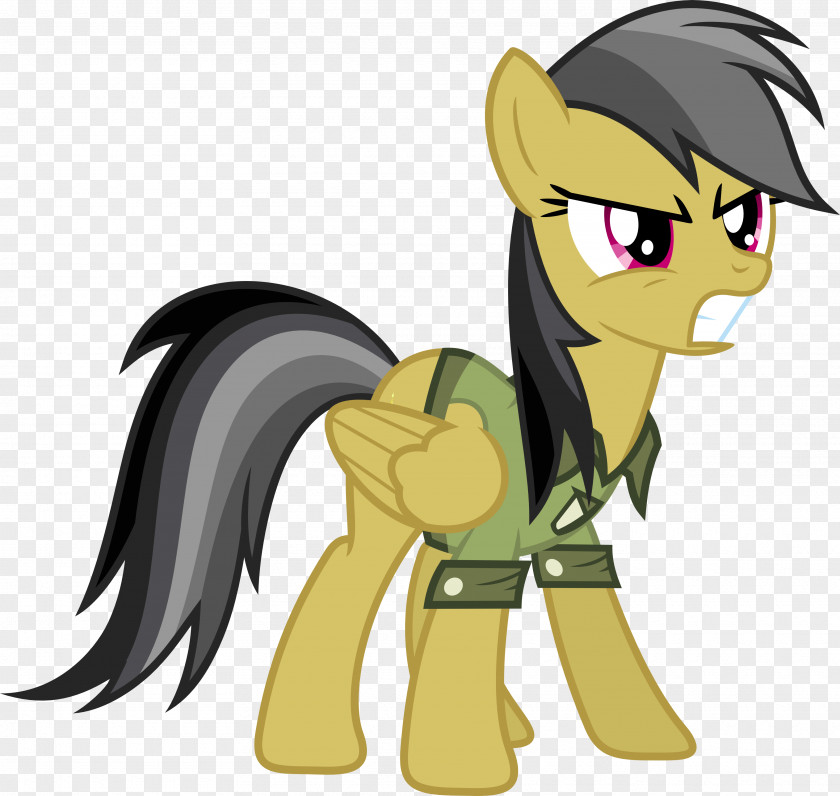 Horse Pony Big McIntosh Applejack Daring Don't PNG