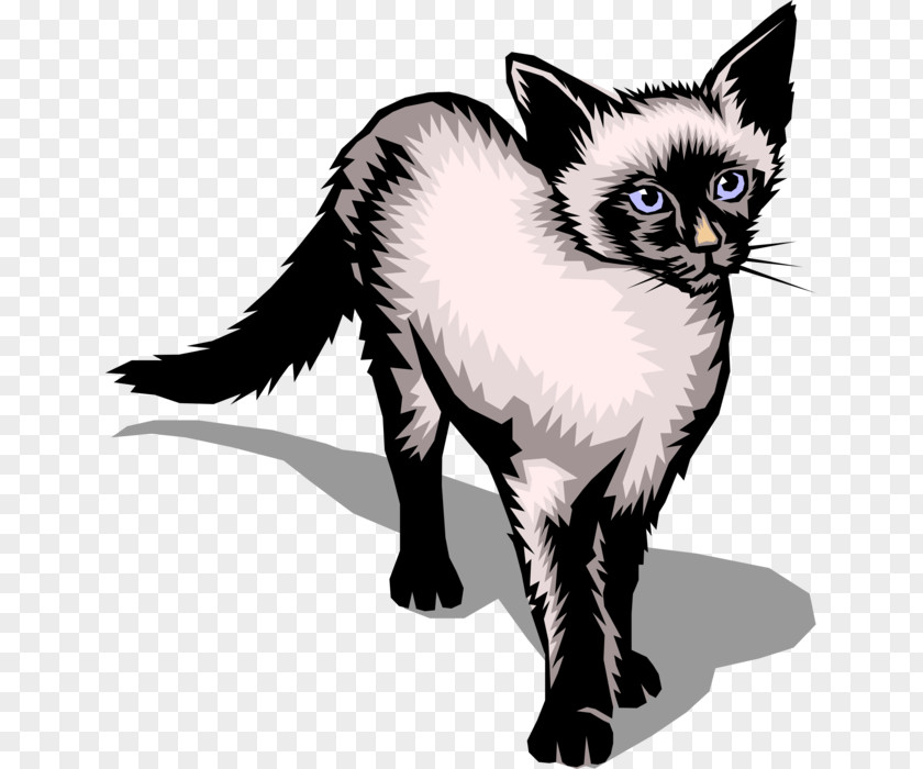 Realistic Cat Animation Siamese Clip Art Vector Graphics Image Illustration PNG