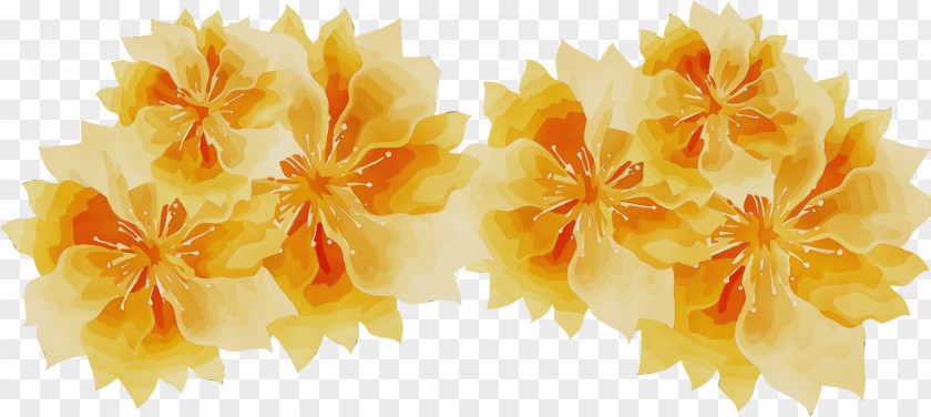 Flower Petal Yellow Computer Spring PNG