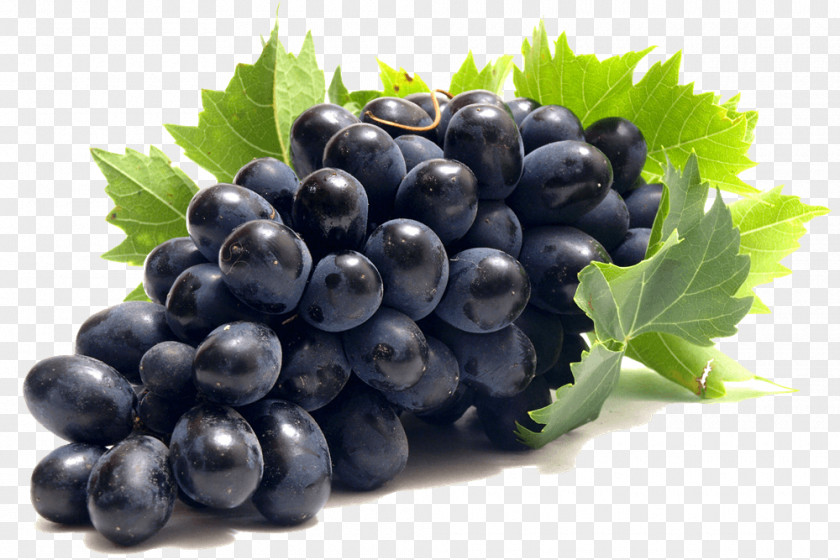 Grape Common Vine Clip Art Red Wine PNG