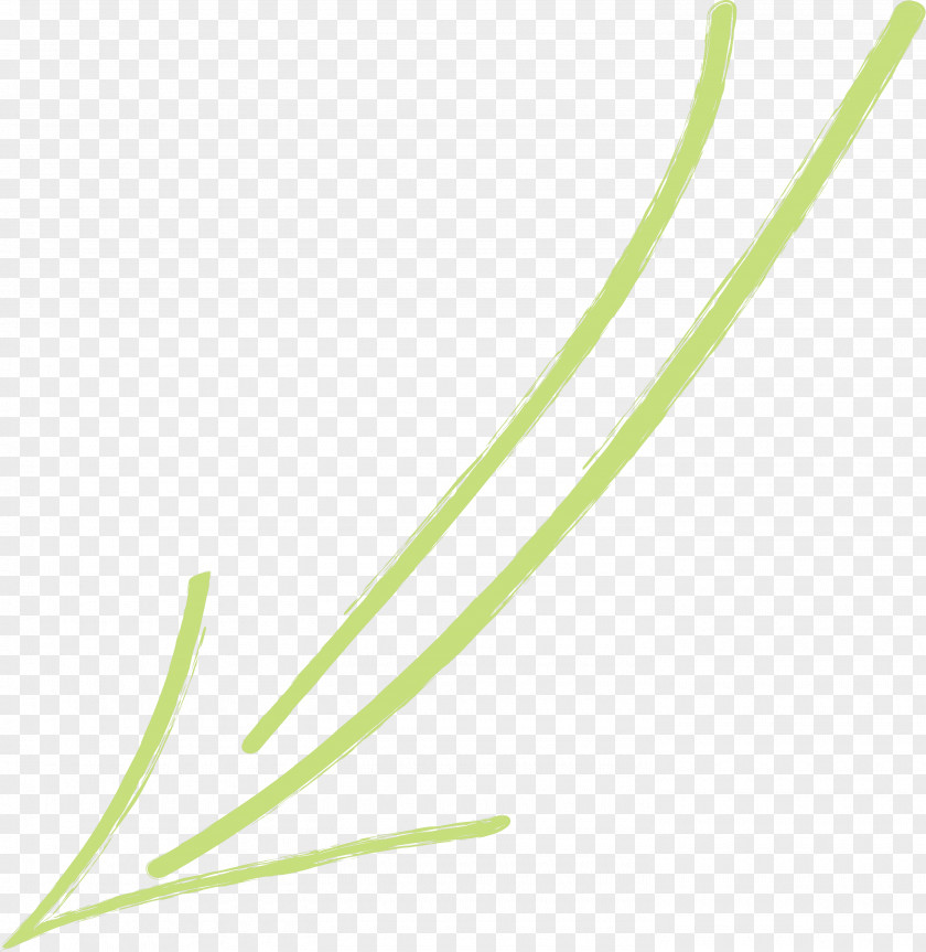 Hand Drawn Arrow PNG