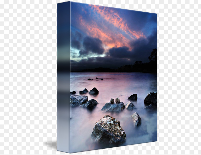 Hermit Crab Bring Me Their Hearts Book Publication Sky Writing PNG