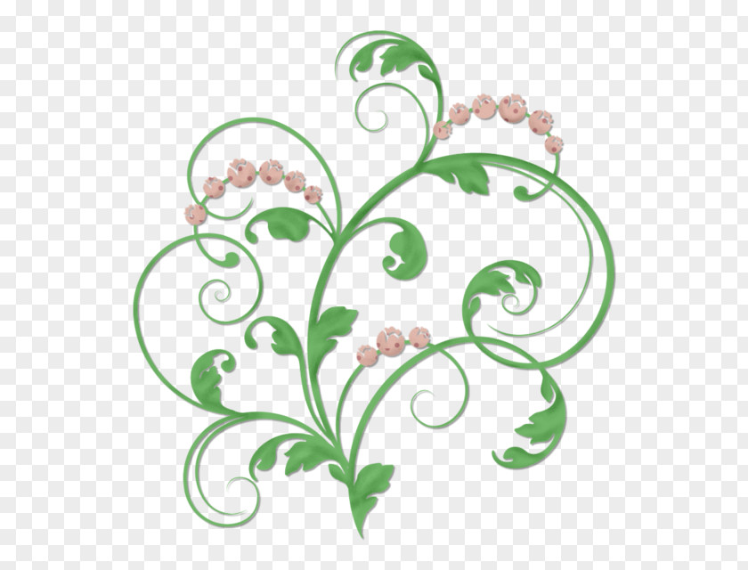 Lily Of The Valley Pedicel Flower Line Art PNG