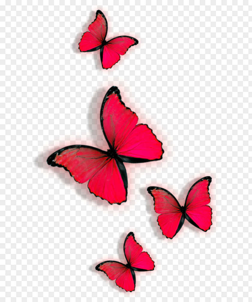 Red Butterfly Clip Art PNG