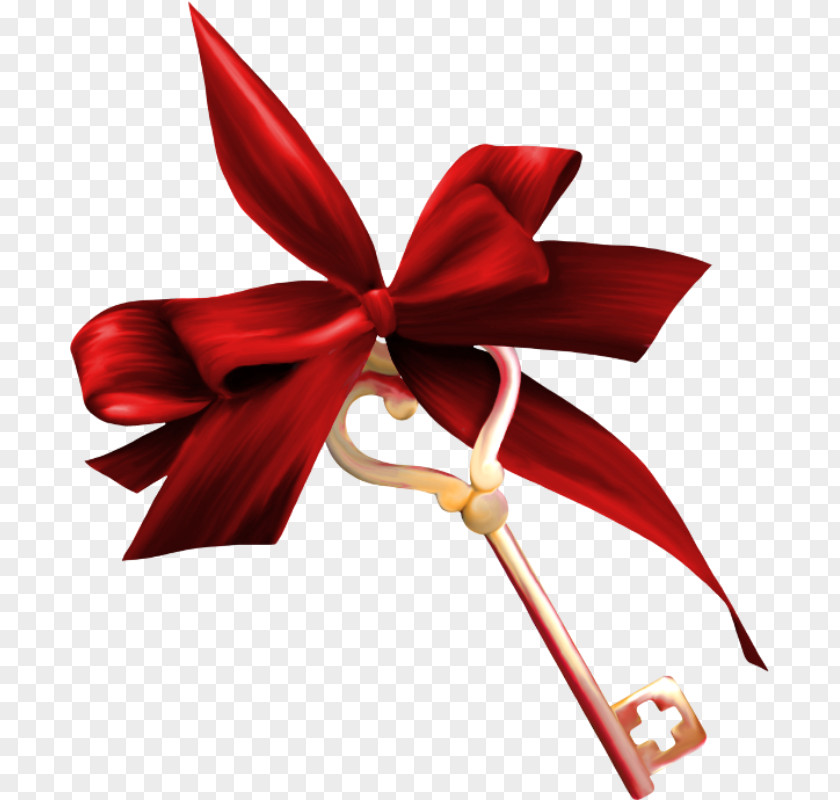 Ribbon Silk Image Gift PNG