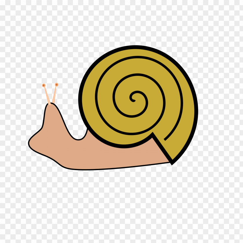 Snail Sea Clip Art PNG