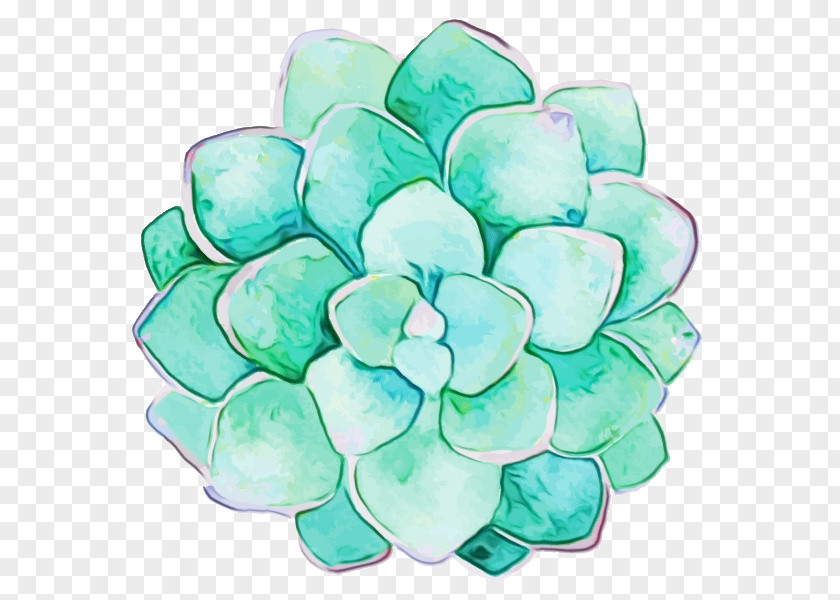 Watercolor Painting Succulent Plant Clip Art PNG