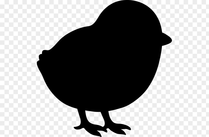 Clip Art Fauna Silhouette Beak Chicken As Food PNG