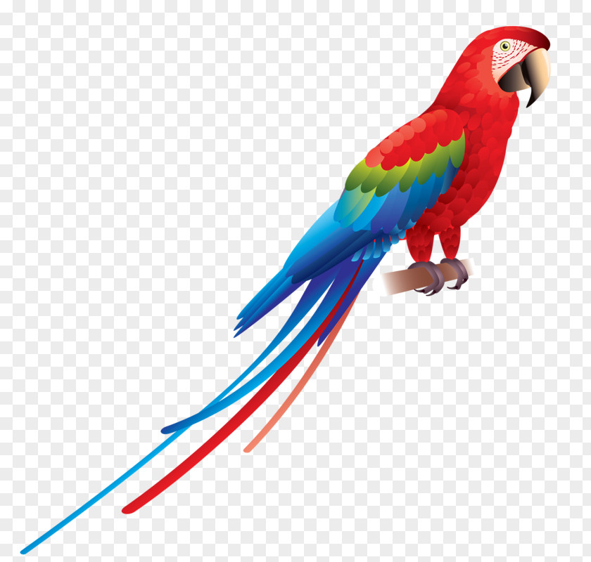 Hand-painted Parrot Bird Red-and-green Macaw Scarlet Blue-and-yellow PNG