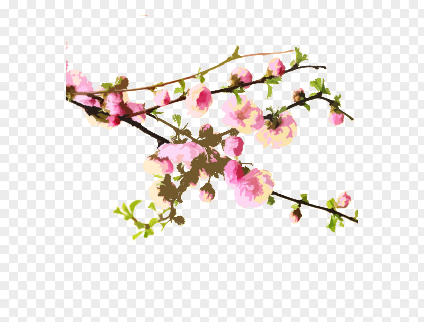 Hand-painted Peach Cherry Blossom Wallpaper PNG
