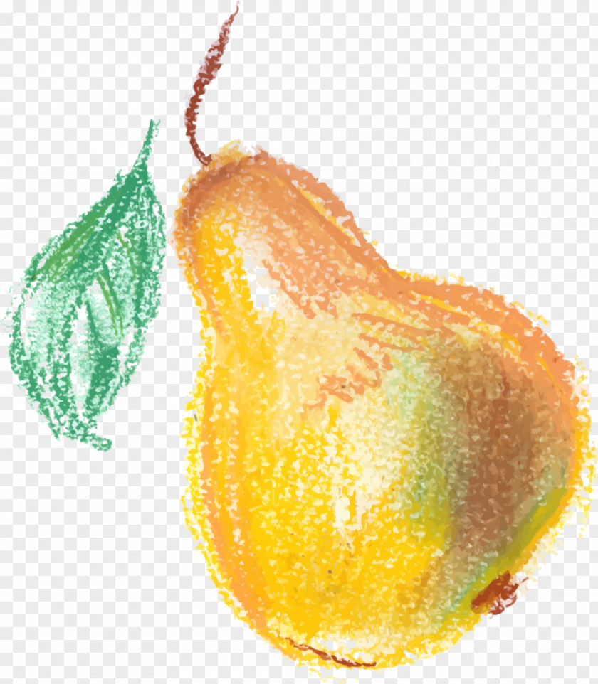 Hand Painted Yellow Pear Download Google Images PNG