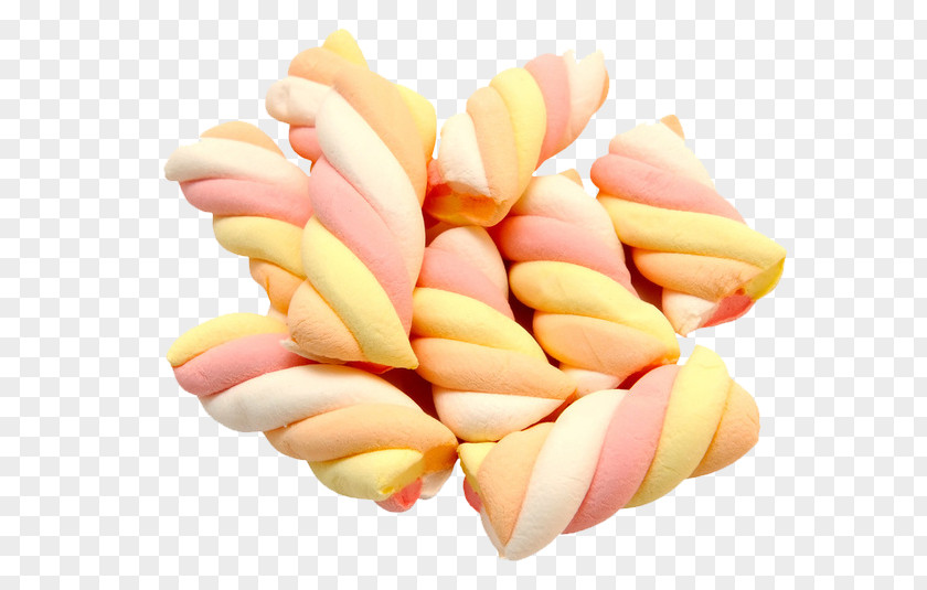 Lollipop Zefir Marshmallow Candy Gumdrop PNG