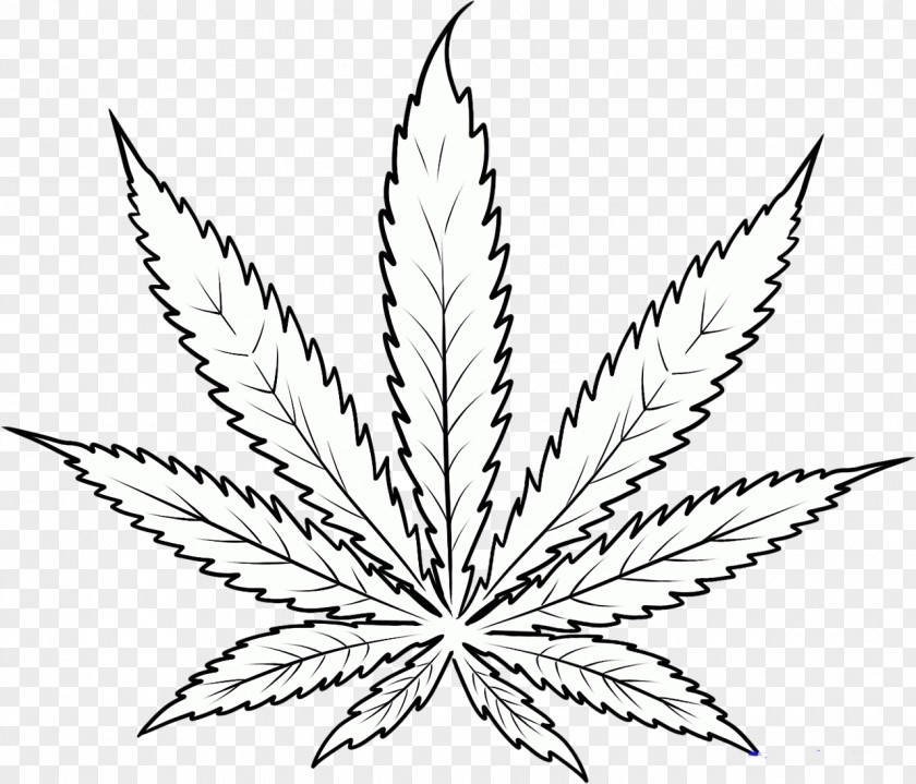 Marijuana Cannabis Smoking Drawing Clip Art PNG
