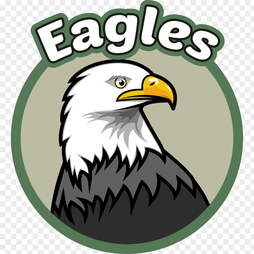 School Bald Eagle Evergreen Elementary Primary Education PNG