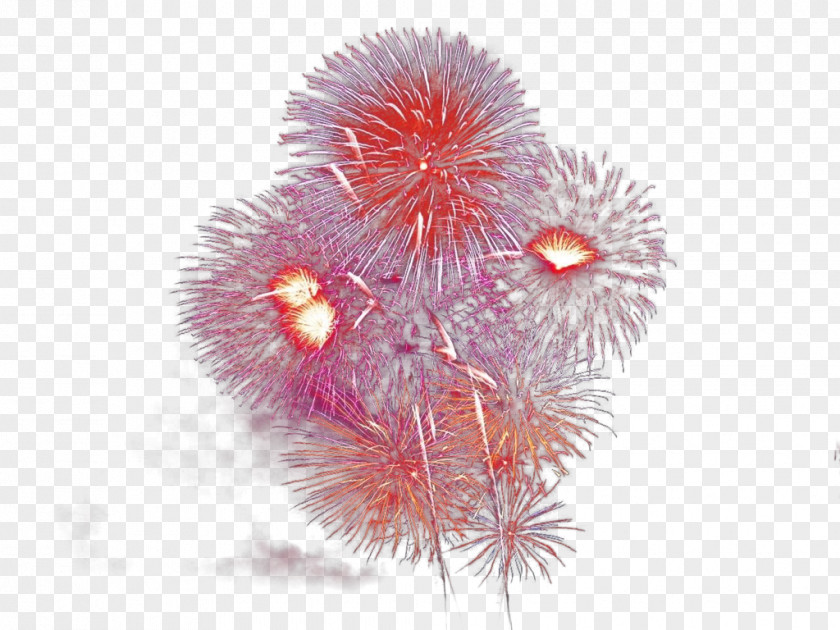 Animation Pyrotechnics PNG