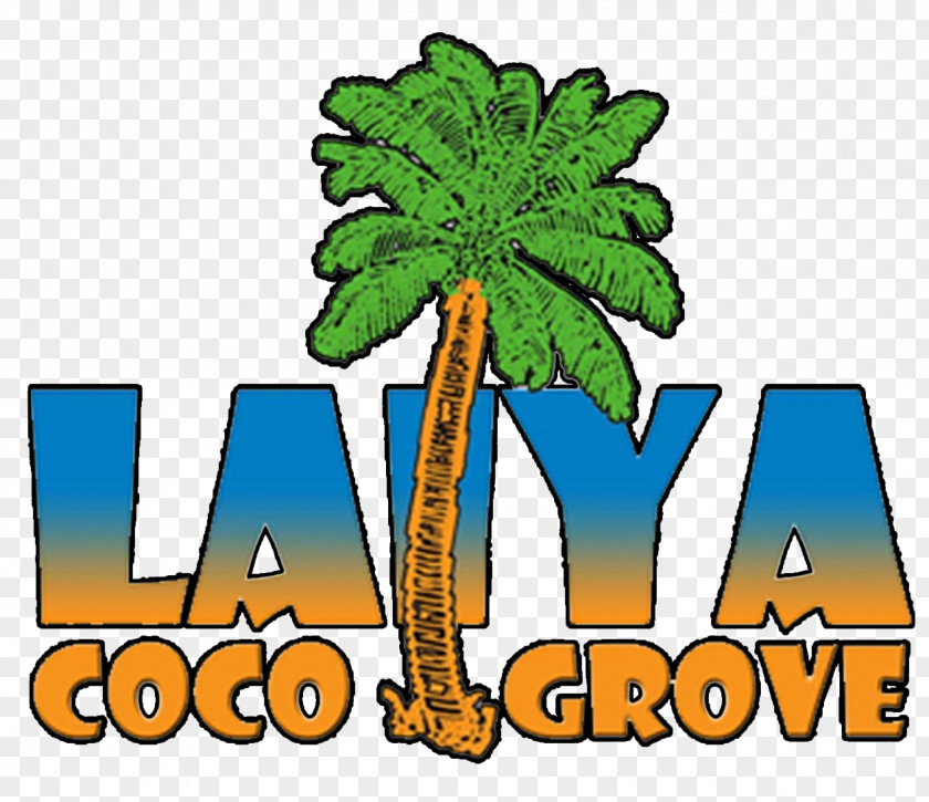 Coconut Grove Laiya Beach Coco Resort PNG