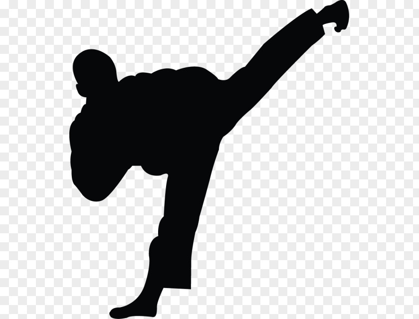 Karate Taekwondo Martial Arts Kick Clip Art PNG