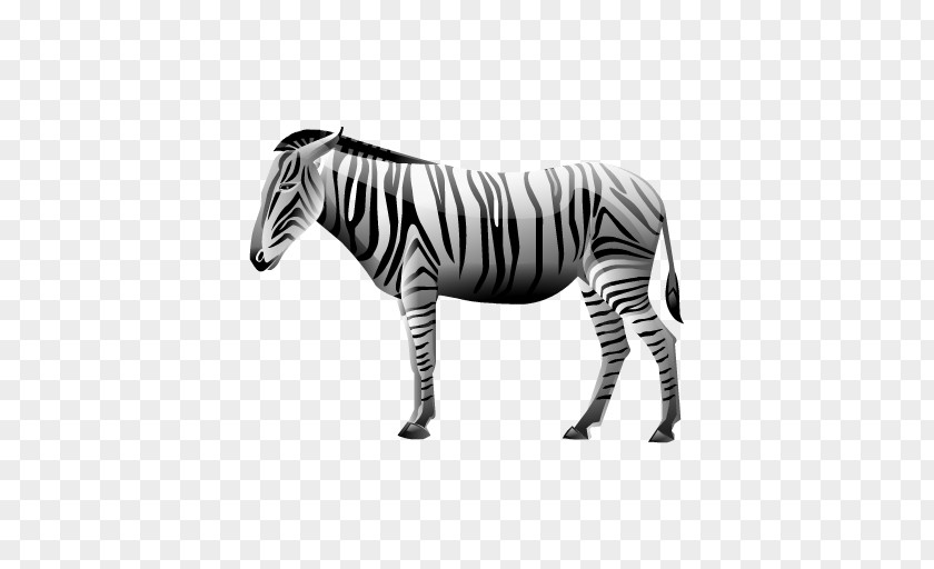 Quagga Computer Network Clip Art PNG