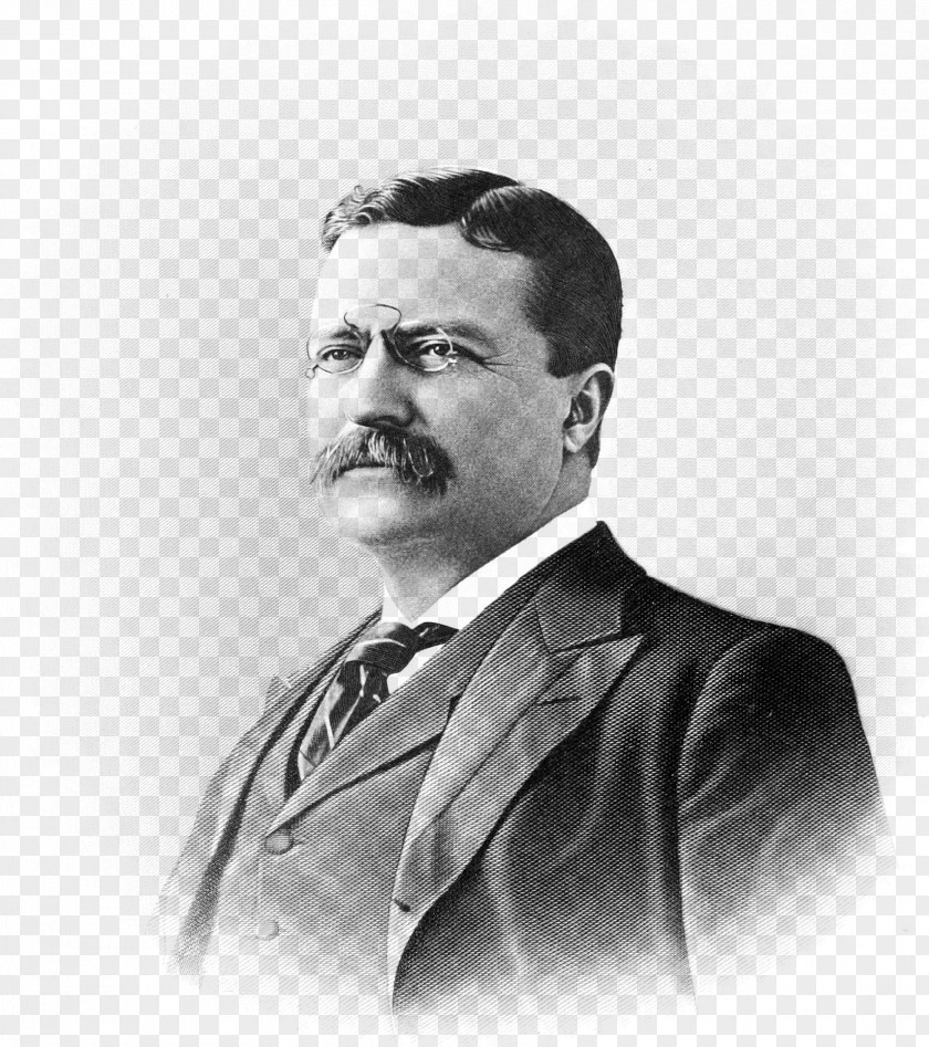 Teddy Theodore Roosevelt Sagamore Hill President Of The United States Quotation Republican Party PNG