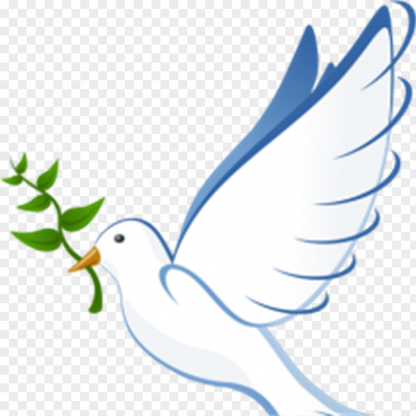 Dove Clipart Pigeons And Doves Clip Art Email As Symbols Peace PNG