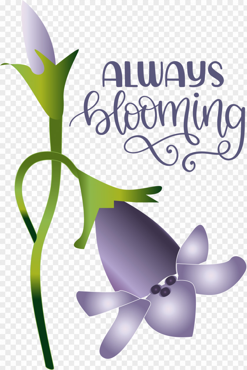 Floral Design PNG