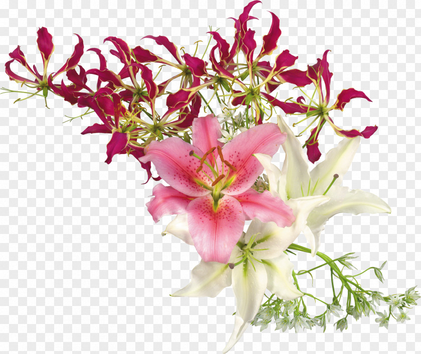Gladiolus Flower Lilium Stamen Clip Art PNG