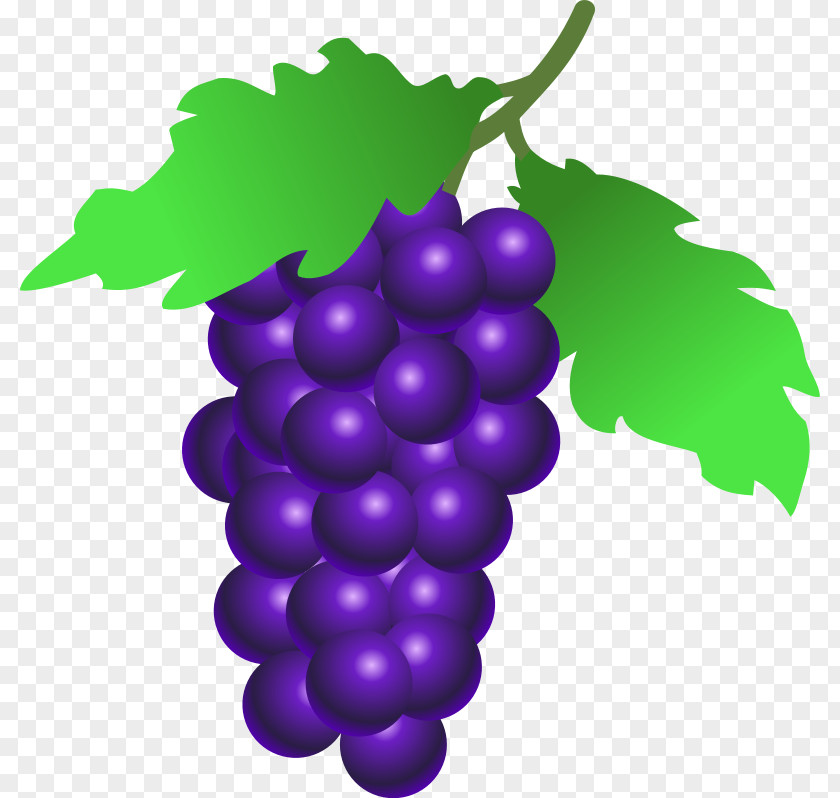 Grapes Clip Art Common Grape Vine Wine PNG