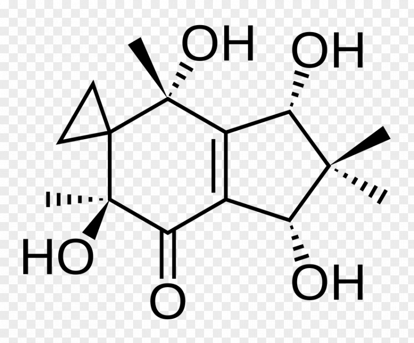 Padwa Citric Acid Structure Peroxymonosulfuric Malic PNG