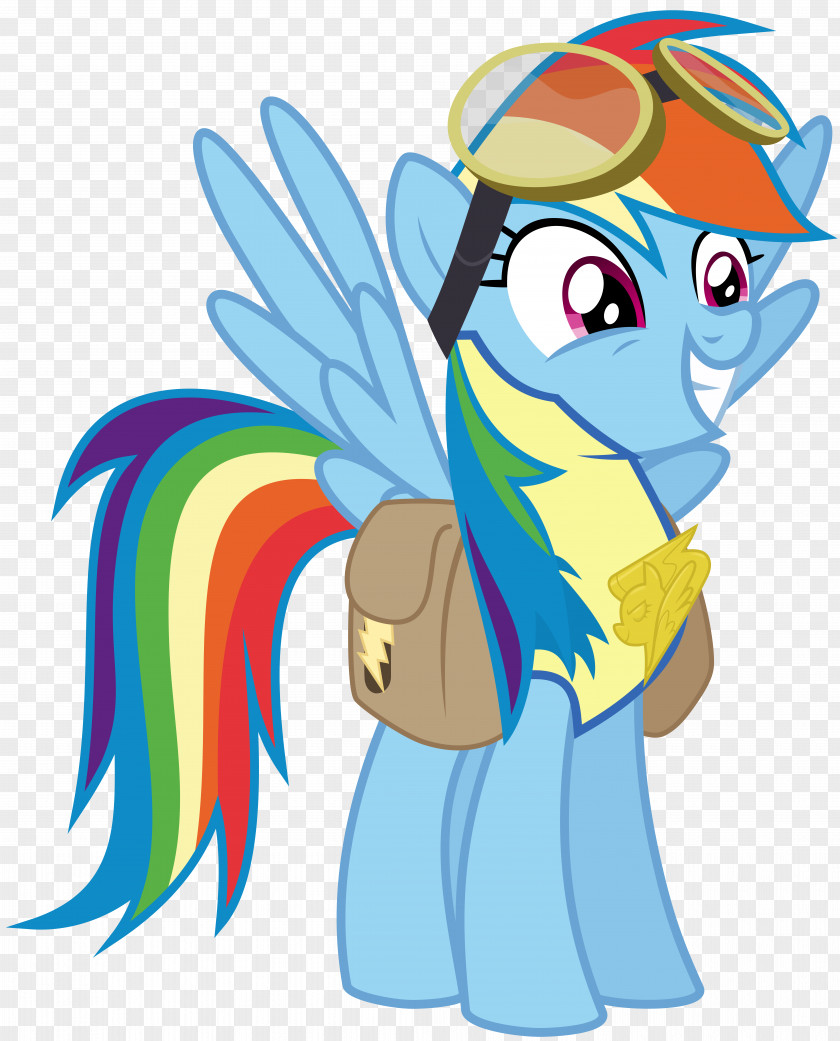Rainbow Dash Pony Sunset Shimmer PNG
