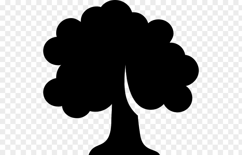 Tree Icon Design PNG