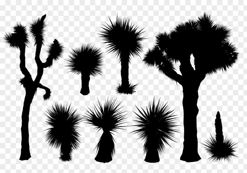 Tropical Leaves Silhouette Photography PNG