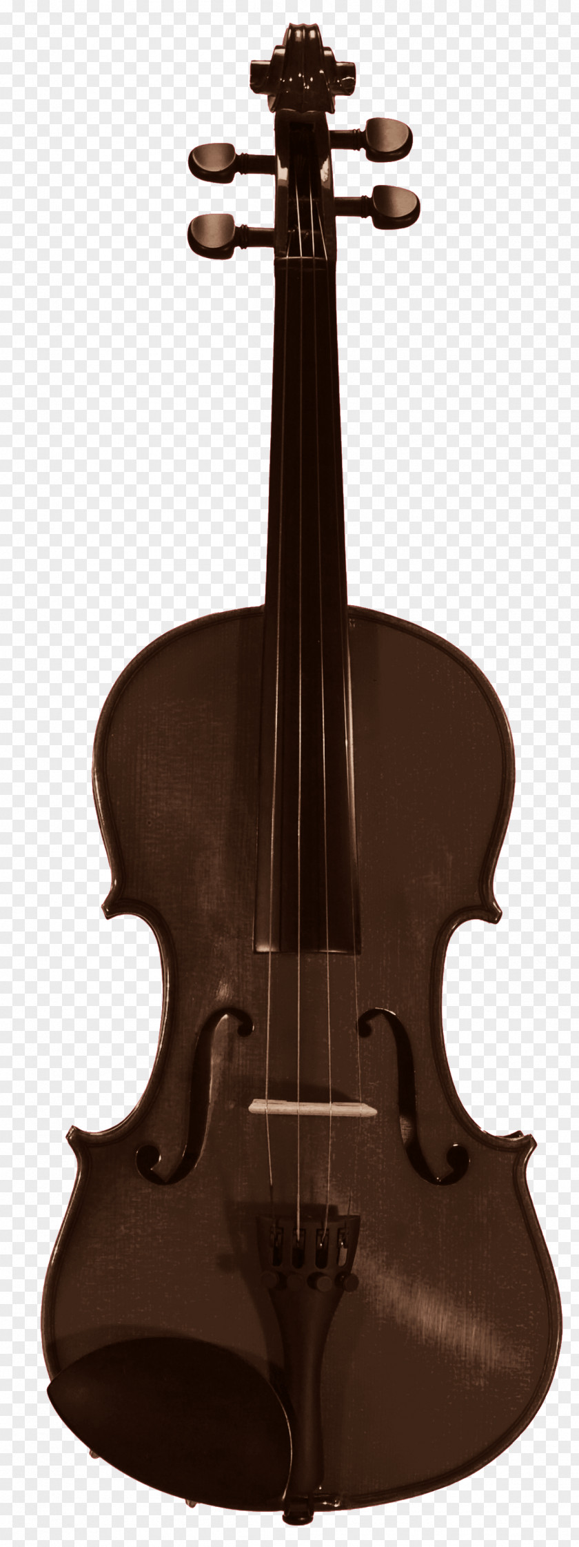 Beautiful Brown Violin CK Violins Musical Instrument Viola PNG