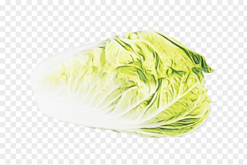 Chinese Cabbage Side Dish Vegetable Iceburg Lettuce Leaf Wild PNG