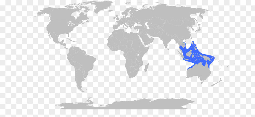 Chironex Fleckeri World Map Globe Robinson Projection PNG